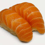 Sake Nigiri